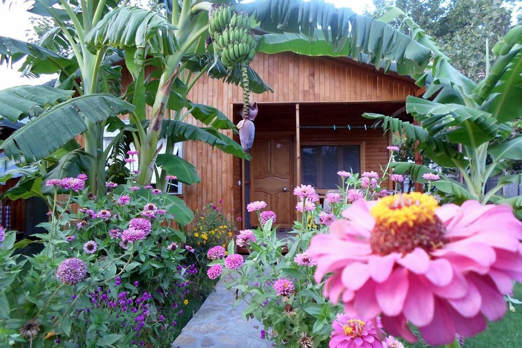 Estelar Bungalow Чирали Екстериор снимка