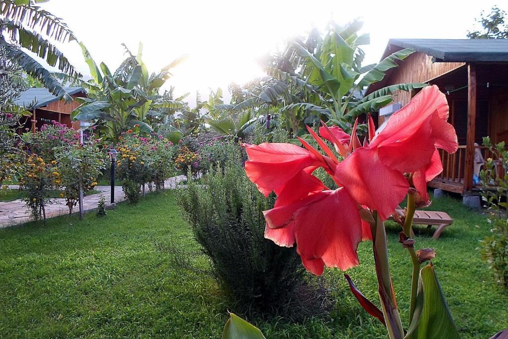 Estelar Bungalow Чирали Екстериор снимка